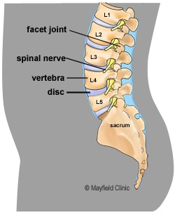 Lower Back Injuries, Common Injuries